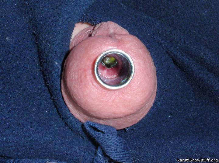 Adult image from karst