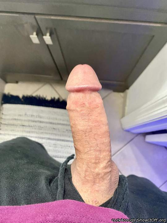 Adult image from cock4cougs