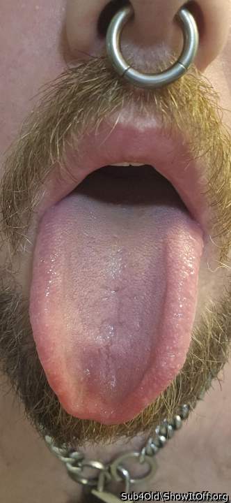 Adult image from Sub4Old