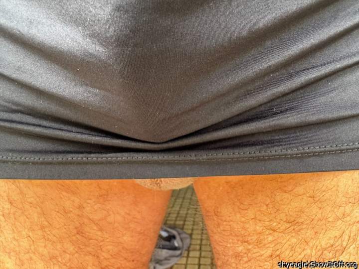 Adult image from shyeagle