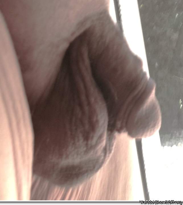 Adult image from Walddo