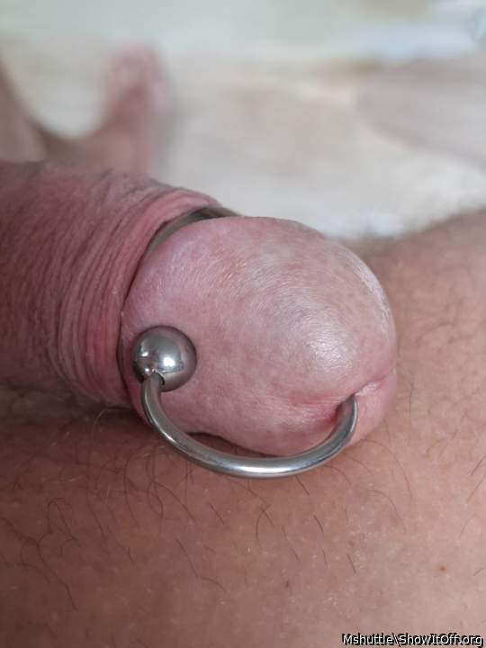 Adult image from Mshuttle