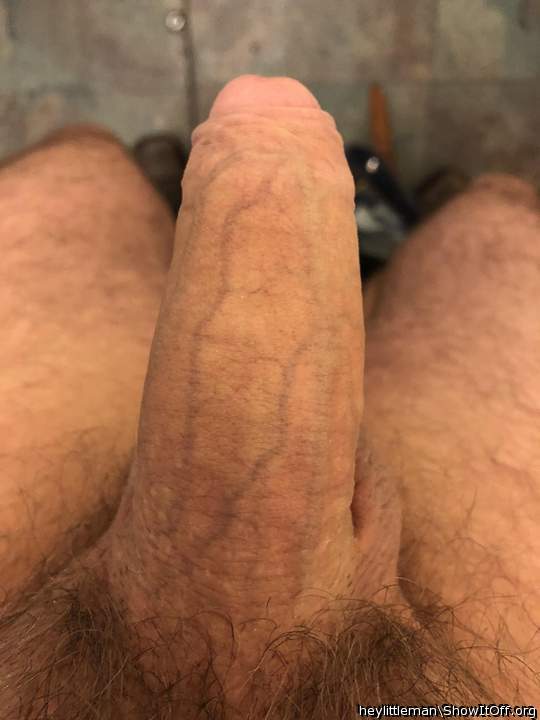 Veiny