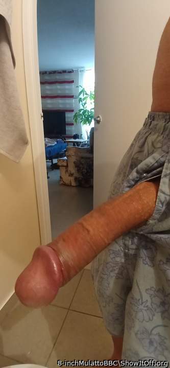 Adult image from 8-inchMulattoBBC