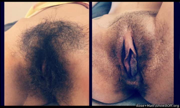 Hairy v shaved