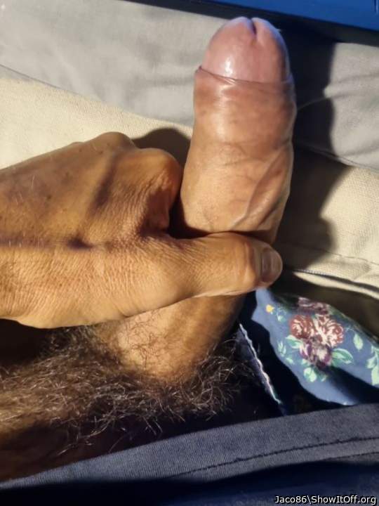 Adult image from Jaco86