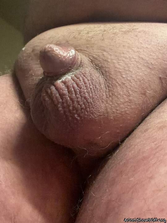 Adult image from Arinn