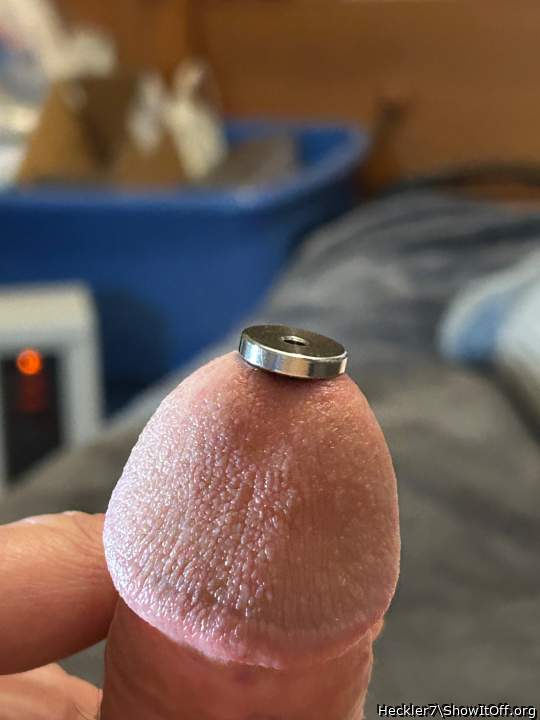 Adult image from Heckler7