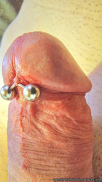 frenulum preputii penis piercing