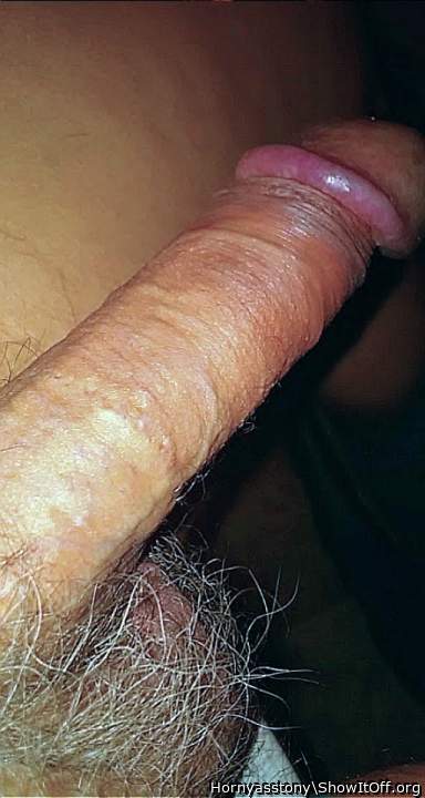 Those hairy balls would feel so good in my mouth