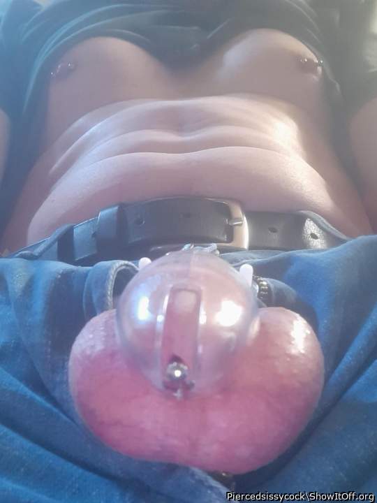 Adult image from Piercedsissycock