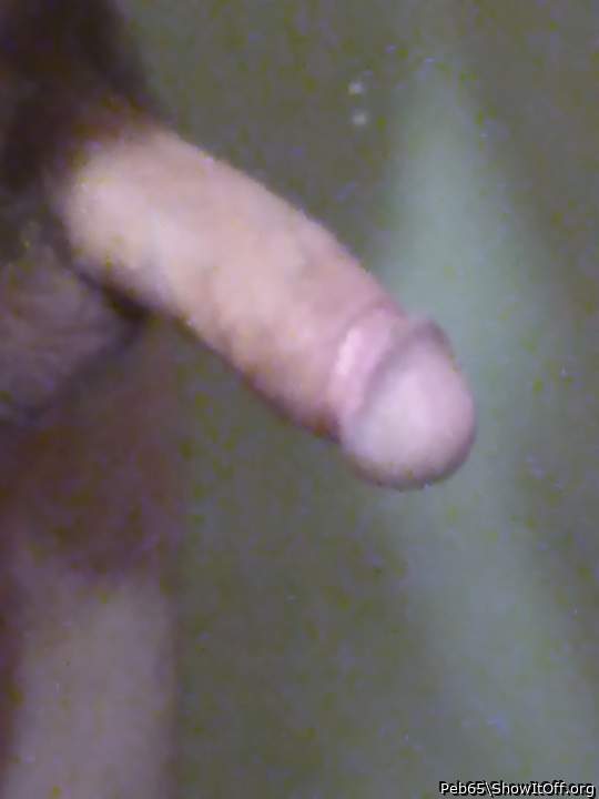 Id suck your big cock