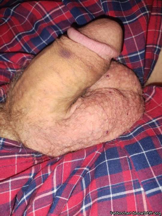 Beautiful. Love that meat lounging in flannel