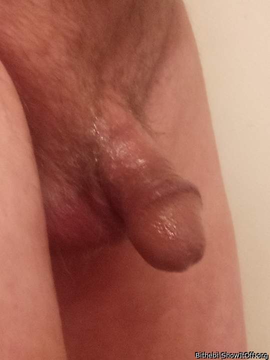 Adult image from Bithebi