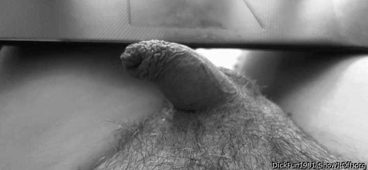 Adult image from DickFun1981