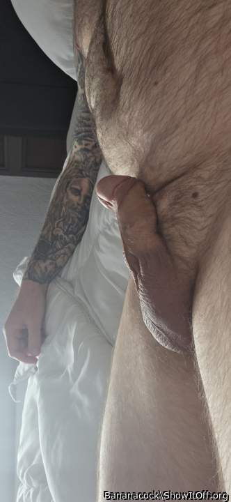 Adult image from Bananacock