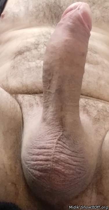 Adult image from Midik