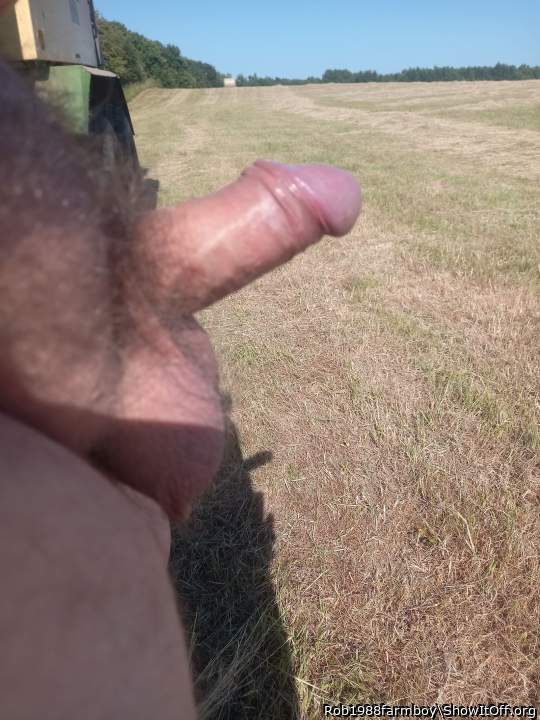 Adult image from Rob1988farmboy