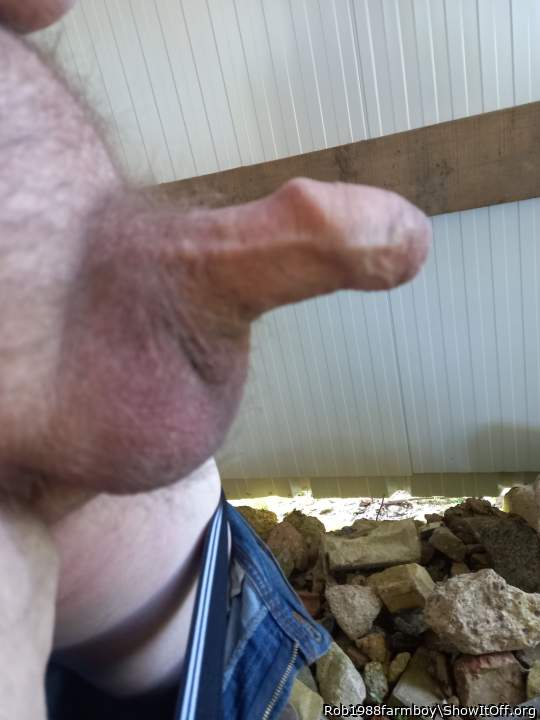 Adult image from Rob1988farmboy
