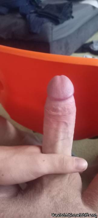 Wow, thats a bit of a cock. Love your photos.