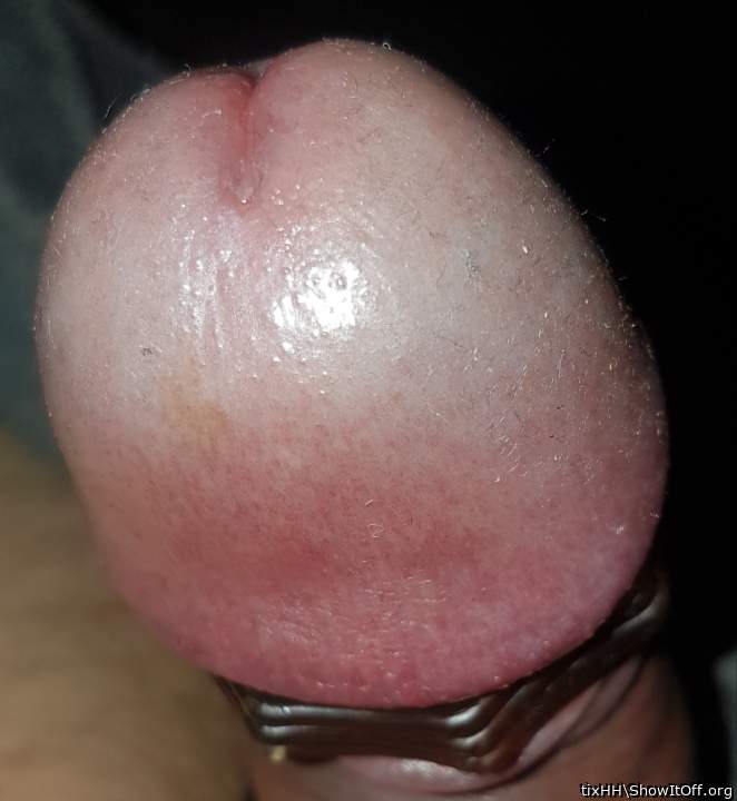 Adult image from tixHH