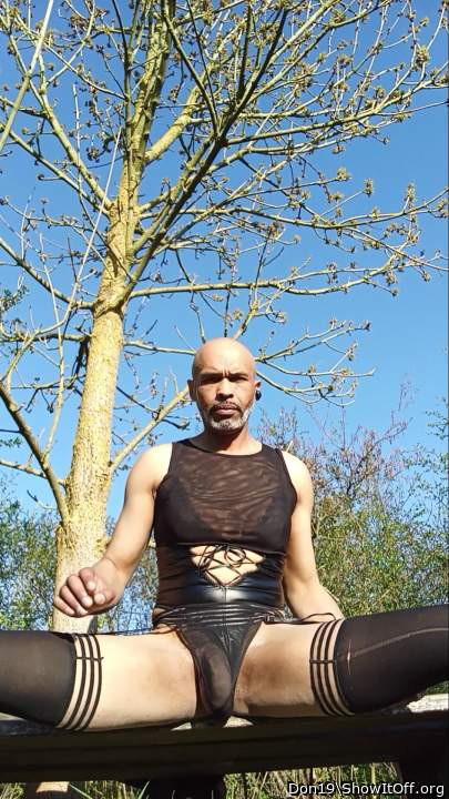 Adult image from Don19