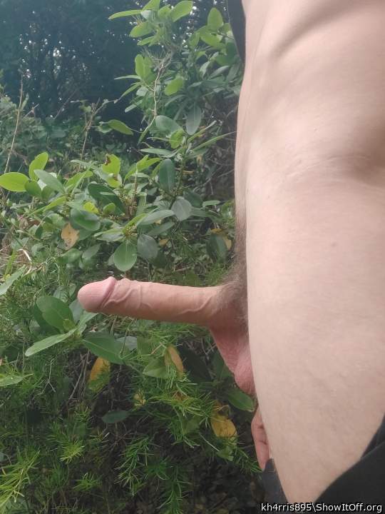 Adult image from kh4rris895