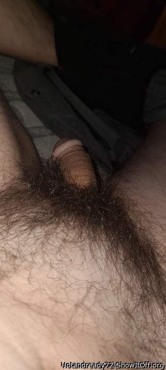 Hairy dick