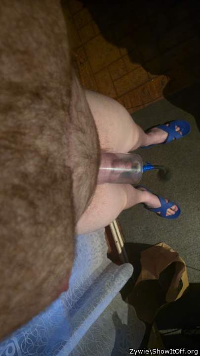 Adult image from Zywie