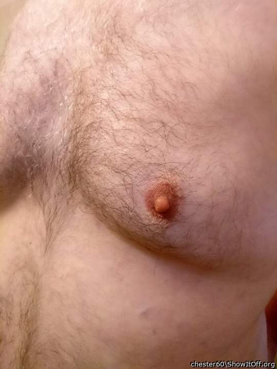 Beautiful suckable nipple on a nice furry chest.   