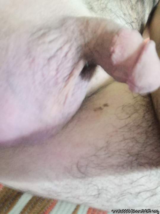 Adult image from evals666