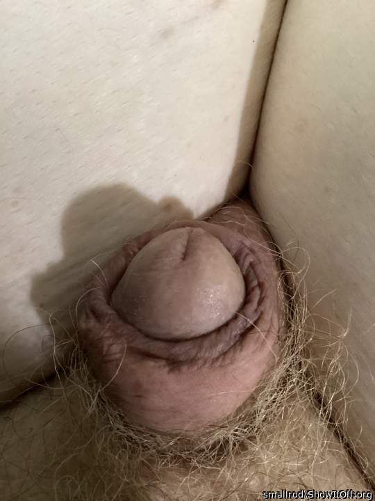 Adult image from smallrod