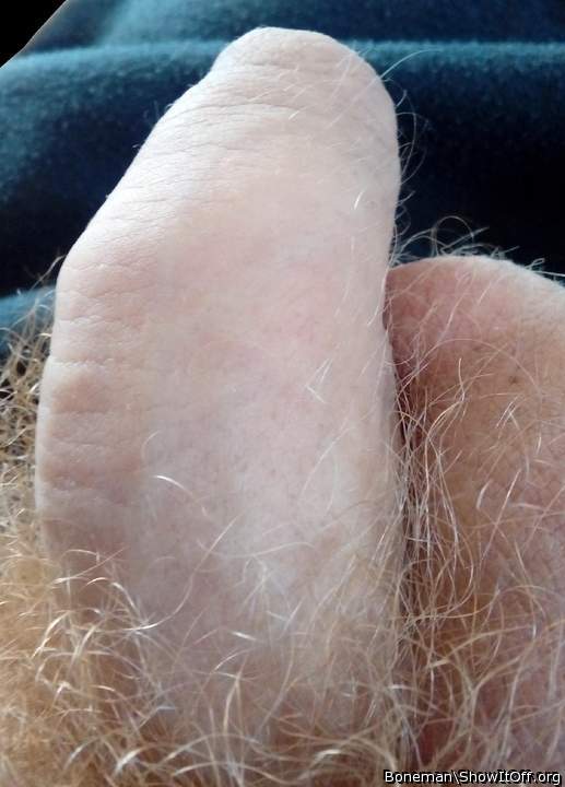 Suck This And Let My Dick Hairs Tickle Your Throat