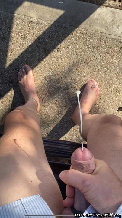 Adult image from stardust