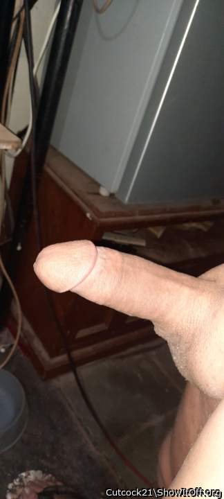 Adult image from Cutcock21