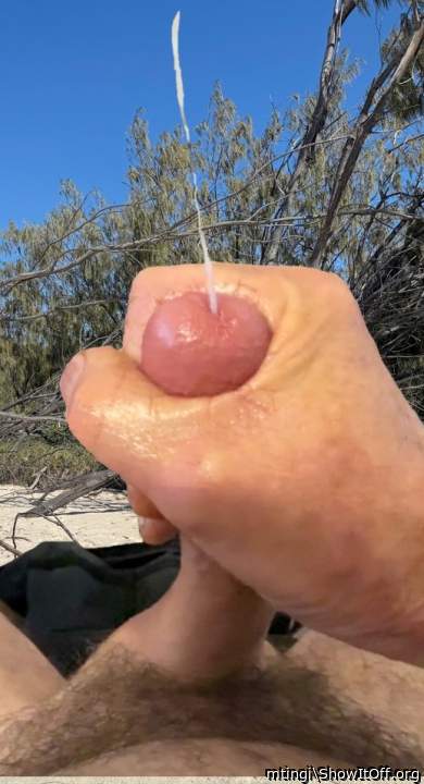 Adult image from mtingi