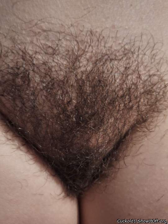 Beautiful, hairy pussy! 