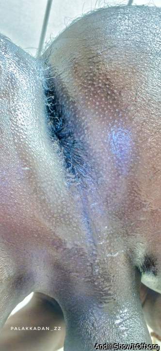 Adult image from Andii