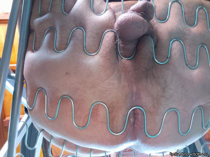 Adult image from Dulle