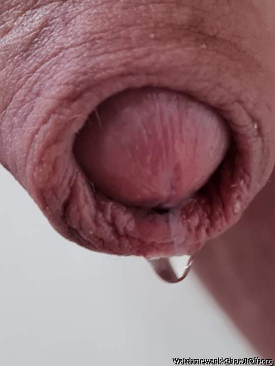 Pre cum dewdrop