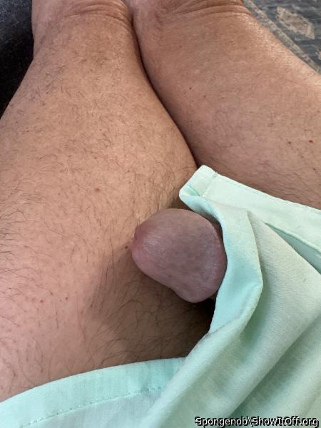 Adult image from Spongenob