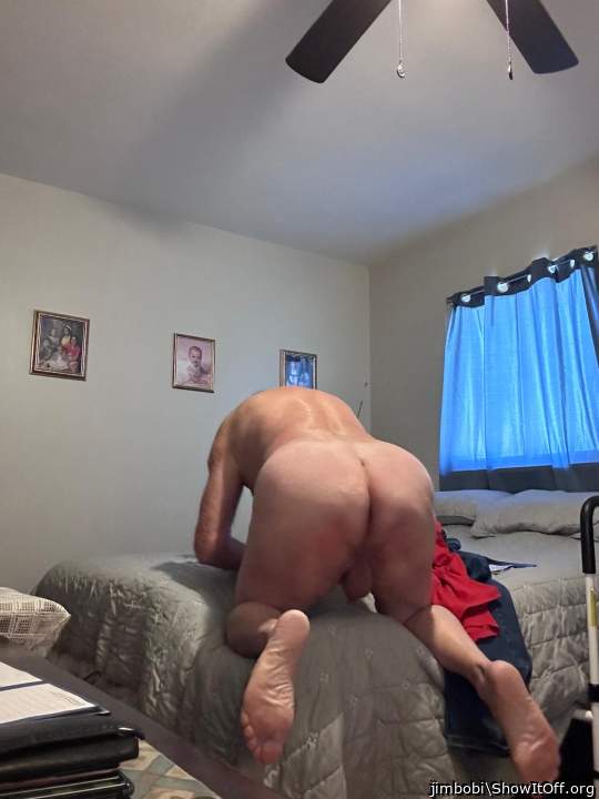 Adult image from jimbobi