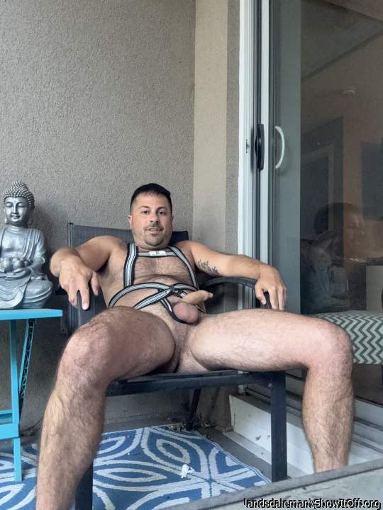 Adult image from landsdaleman