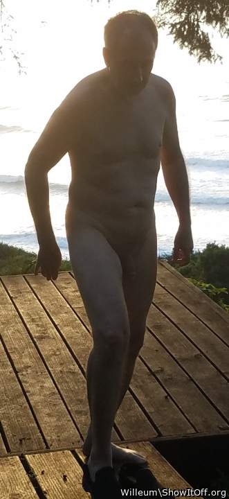 Adult image from Willeum