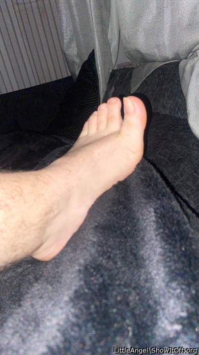 Adult image from LittleAngel