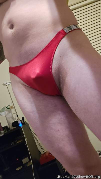 Adult image from LittleMan20