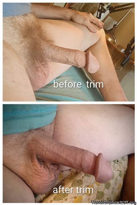 Wow, what a great photo big difference. Love the trim job. 