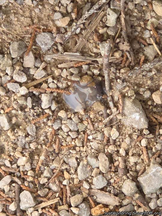 DNA evidence to be used against me in a court of law.