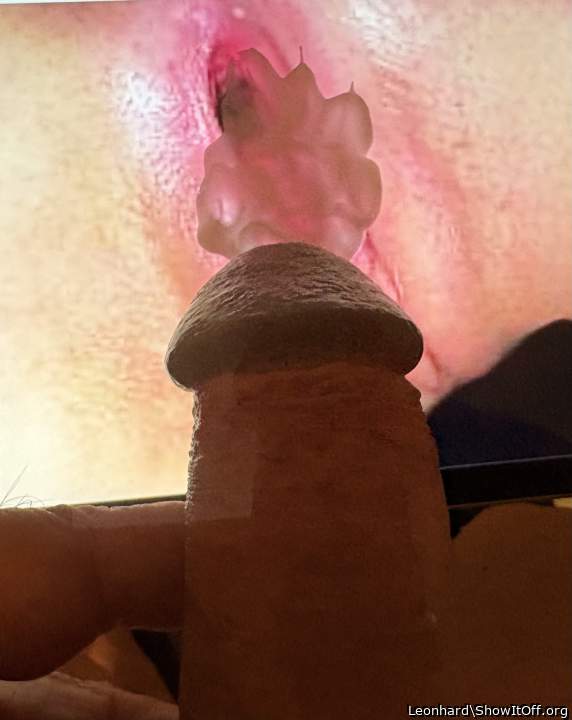 Adult image from Leonhard