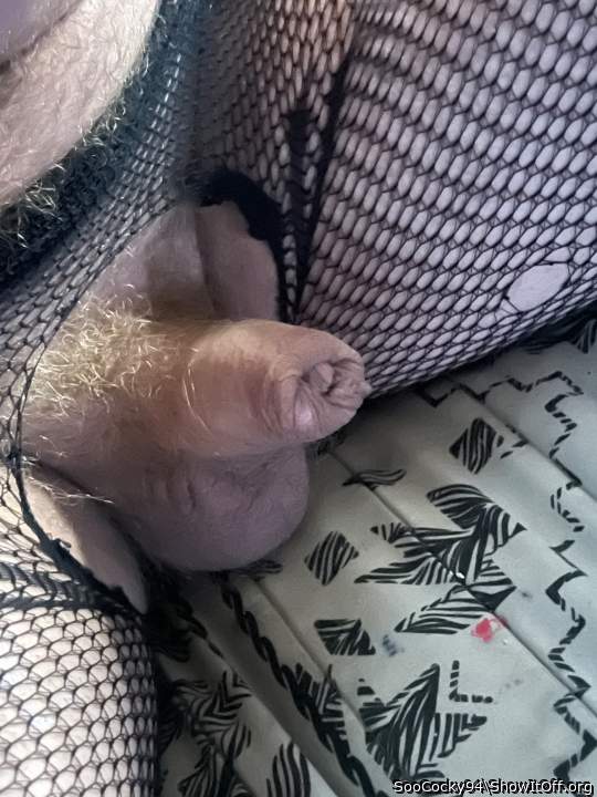 Adult image from SooCocky94